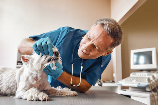 Best 24-Hour Emergency Dentist in Riverwoods, IL